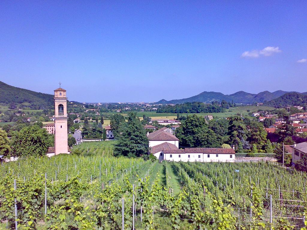 Villa Pollini Torreglia Exteriér fotografie