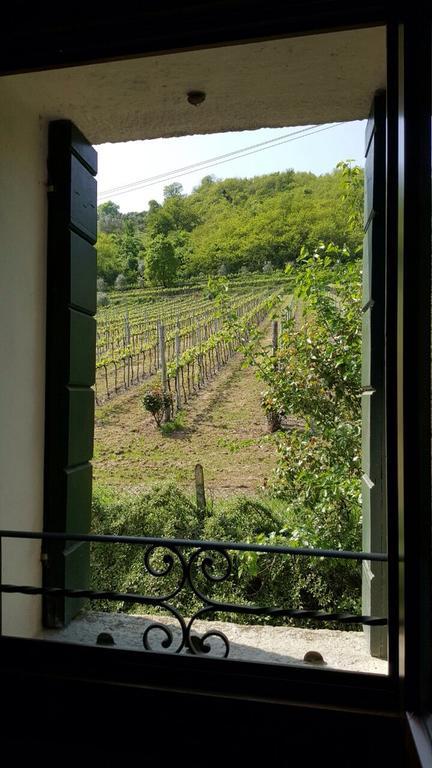 Villa Pollini Torreglia Exteriér fotografie